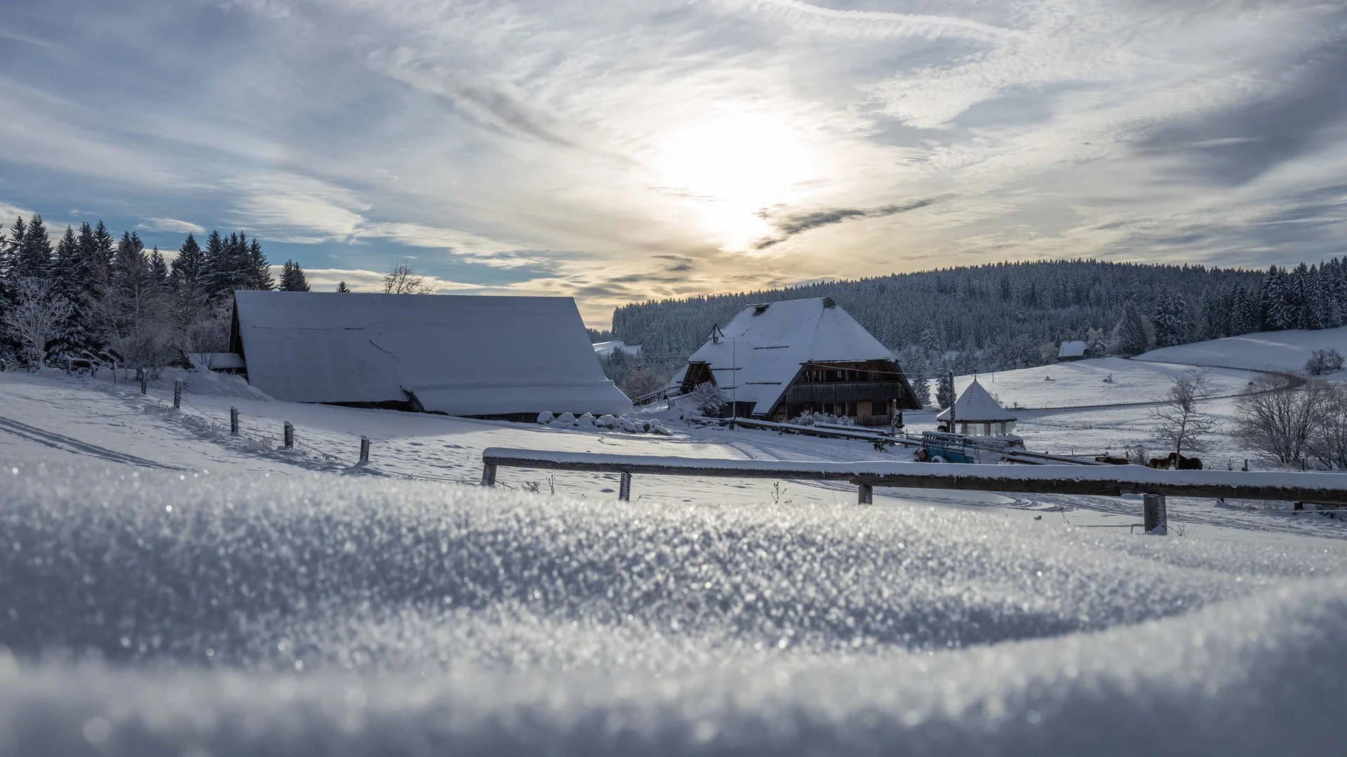Bildergalerie – Eindrücke & Impressionen | Appartementhaus Regina Schluchsee