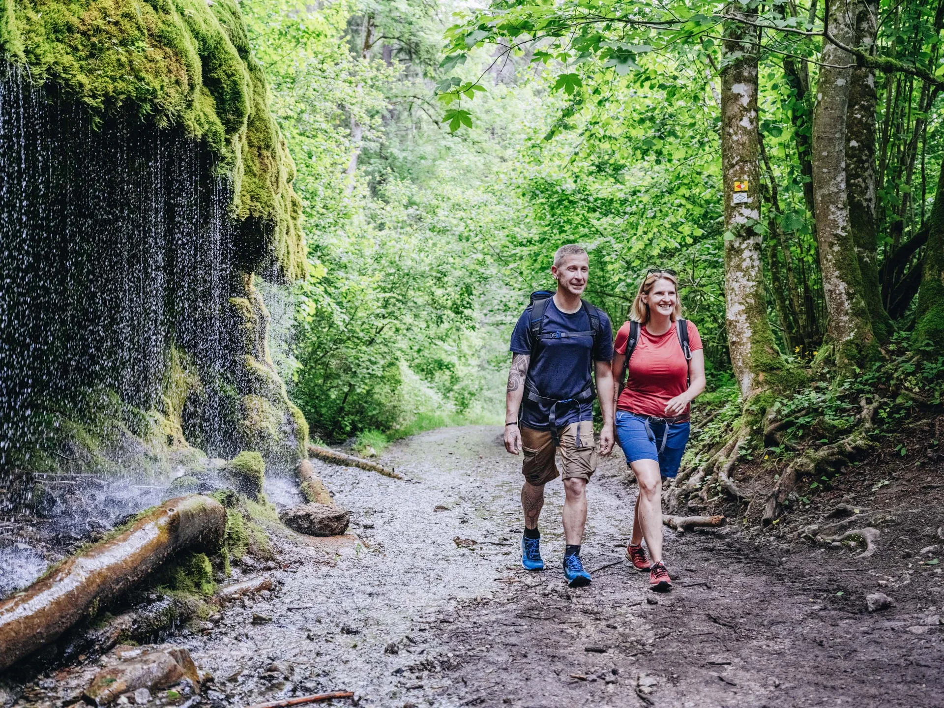 Freizeit & Aktivitäten – Aktivurlaub Schwarzwald im Appartementhaus Regina am Schluchsee