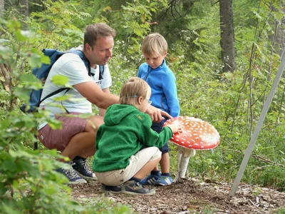 Freizeit & Aktivitäten – Aktivurlaub Schwarzwald im Appartementhaus Regina am Schluchsee