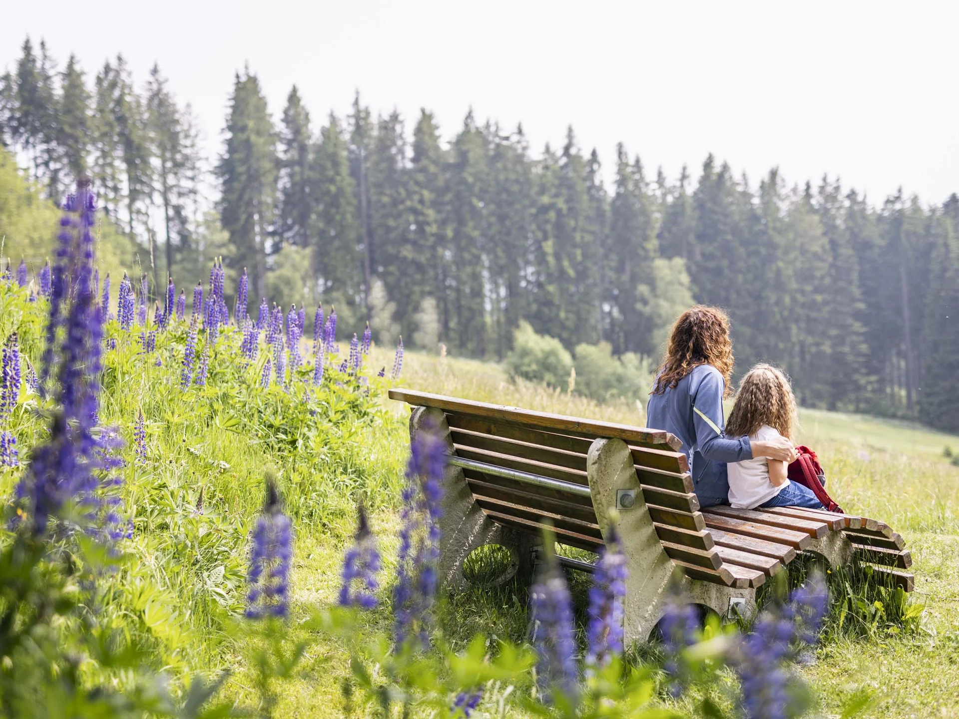 Freizeit & Aktivitäten – Aktivurlaub Schwarzwald im Appartementhaus Regina am Schluchsee