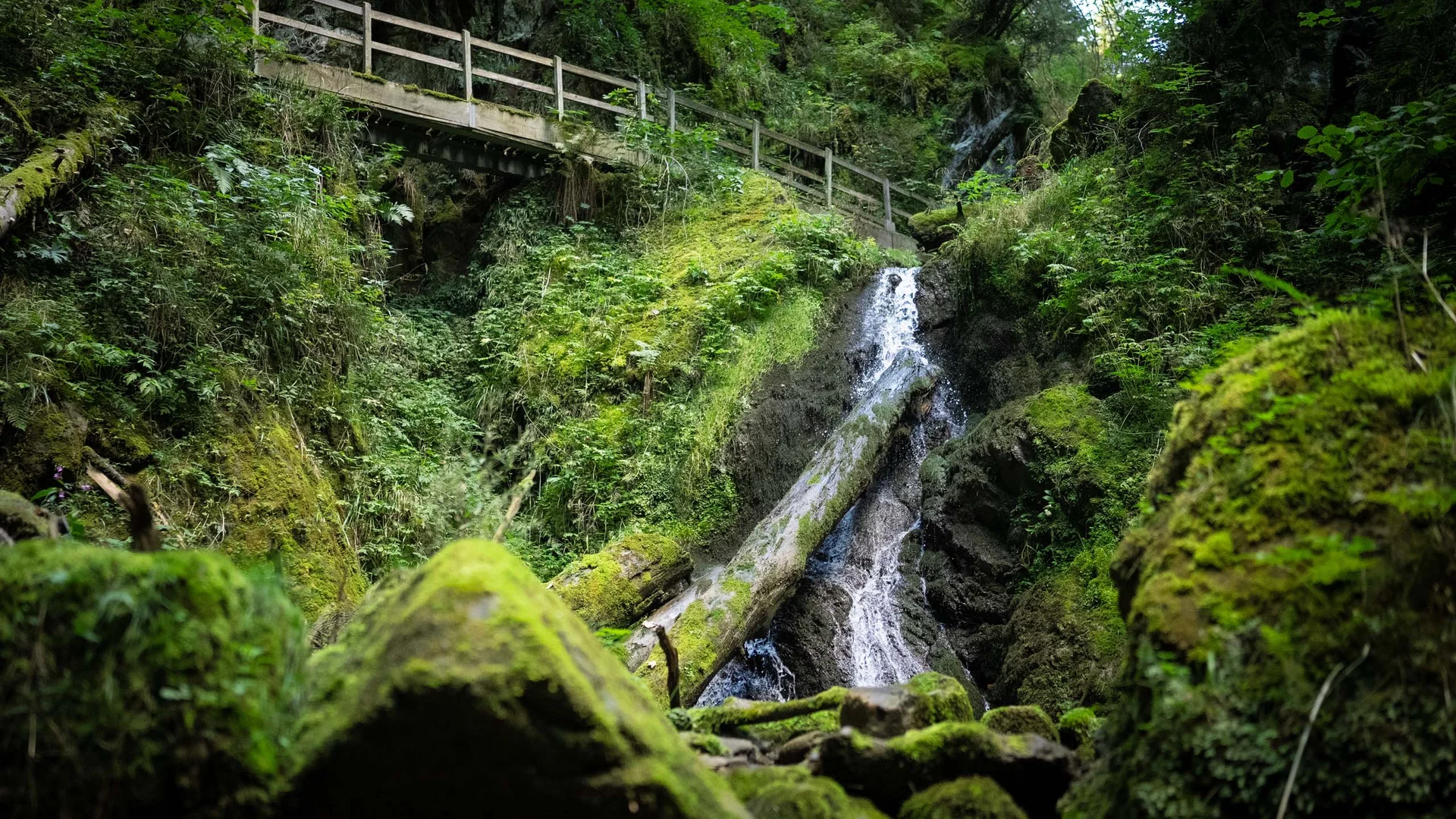 Bildergalerie – Eindrücke & Impressionen | Appartementhaus Regina Schluchsee