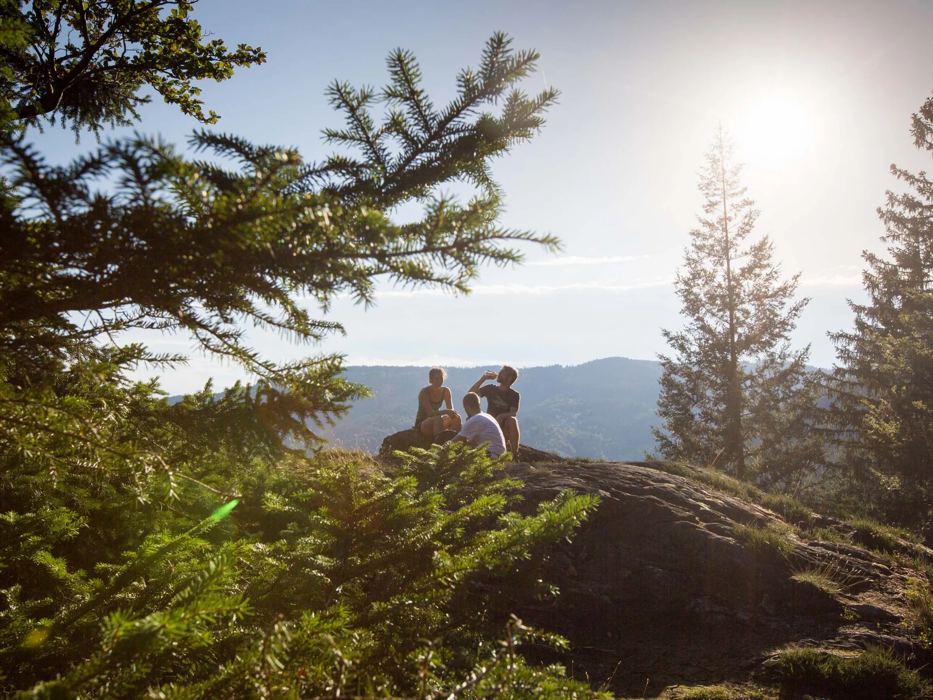 Appartementhaus mit Ferienwohnungen im Hochschwarzwald | Appartementhaus Regina Schluchsee Appartementhaus mit Ferienwohnungen im Hochschwarzwald | Appartementhaus Regina Schluchsee