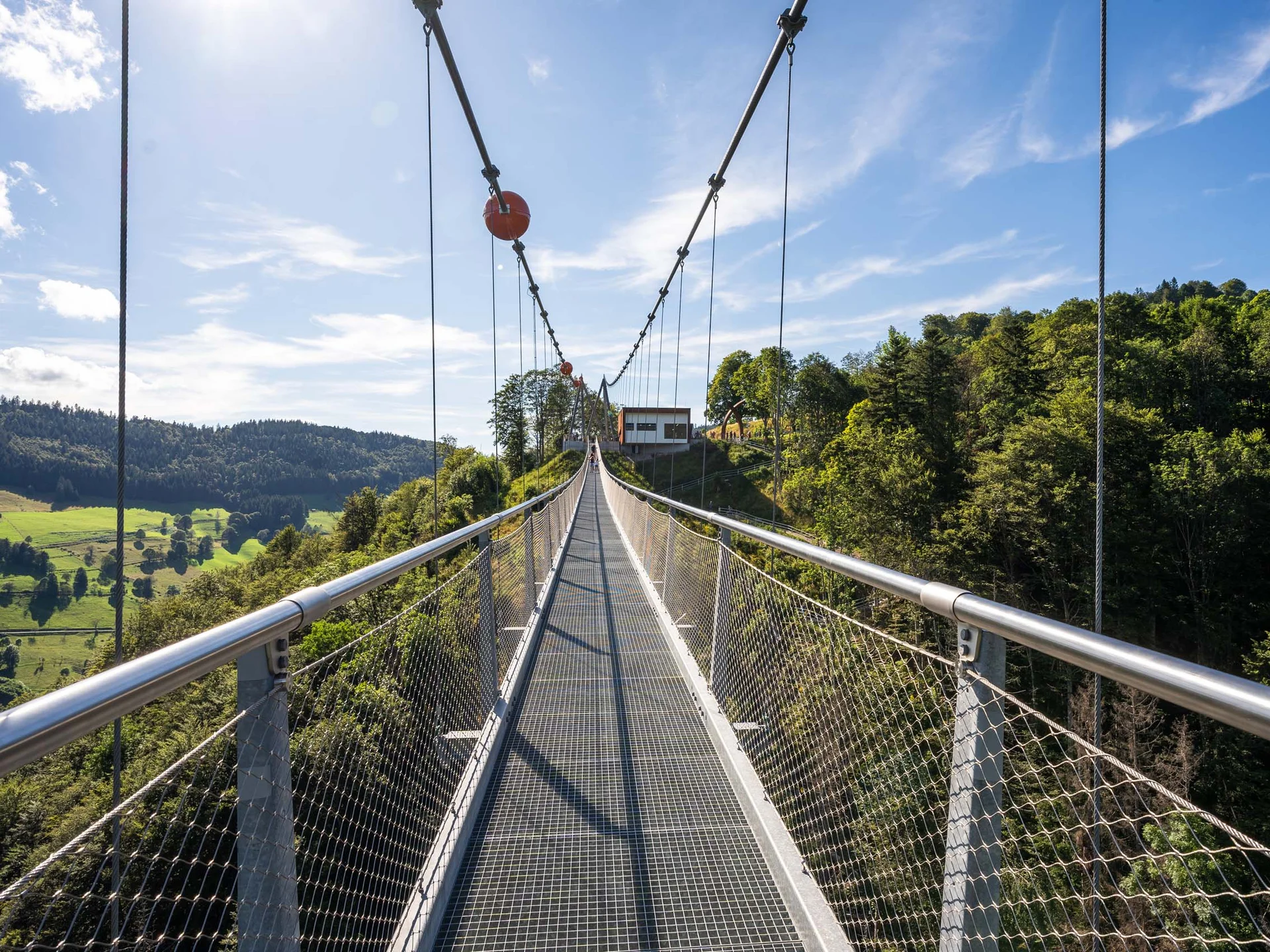 Freizeit & Aktivitäten – Aktivurlaub Schwarzwald im Appartementhaus Regina am Schluchsee
