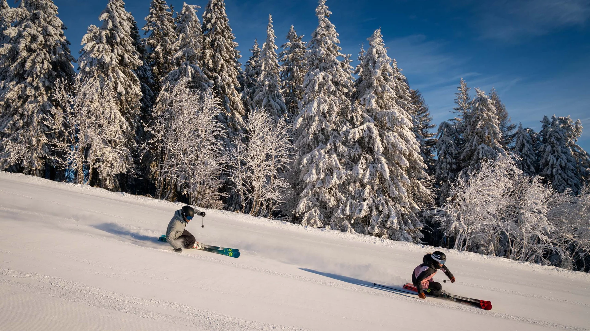 Bildergalerie – Eindrücke & Impressionen | Appartementhaus Regina Schluchsee