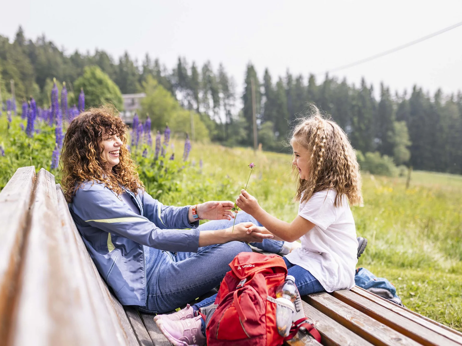 Appartementhaus mit Ferienwohnungen im Hochschwarzwald | Appartementhaus Regina Schluchsee Appartementhaus mit Ferienwohnungen im Hochschwarzwald | Appartementhaus Regina Schluchsee