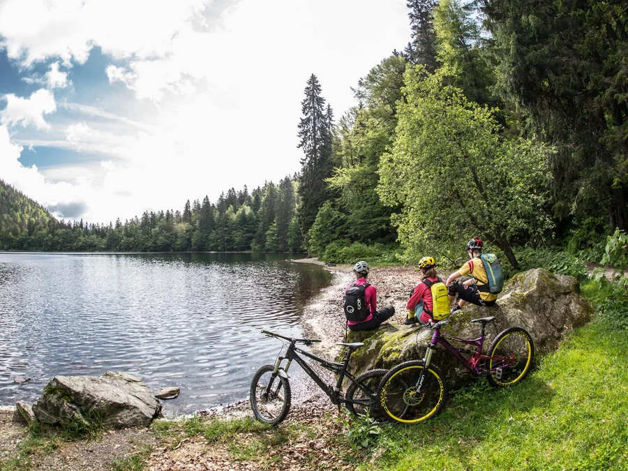 Freizeit & Aktivitäten – Aktivurlaub Schwarzwald im Appartementhaus Regina am Schluchsee