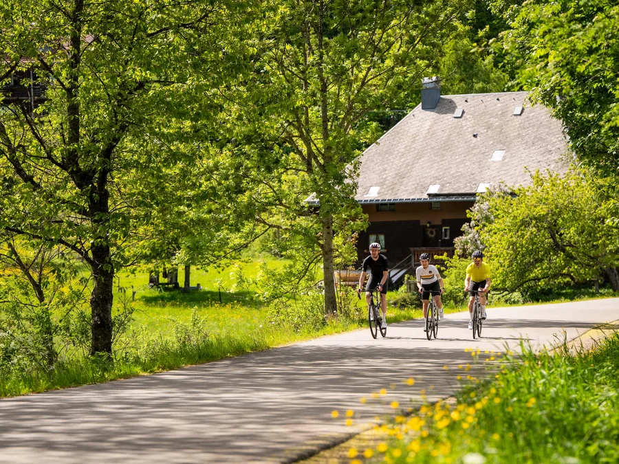 Freizeit & Aktivitäten – Aktivurlaub Schwarzwald im Appartementhaus Regina am Schluchsee