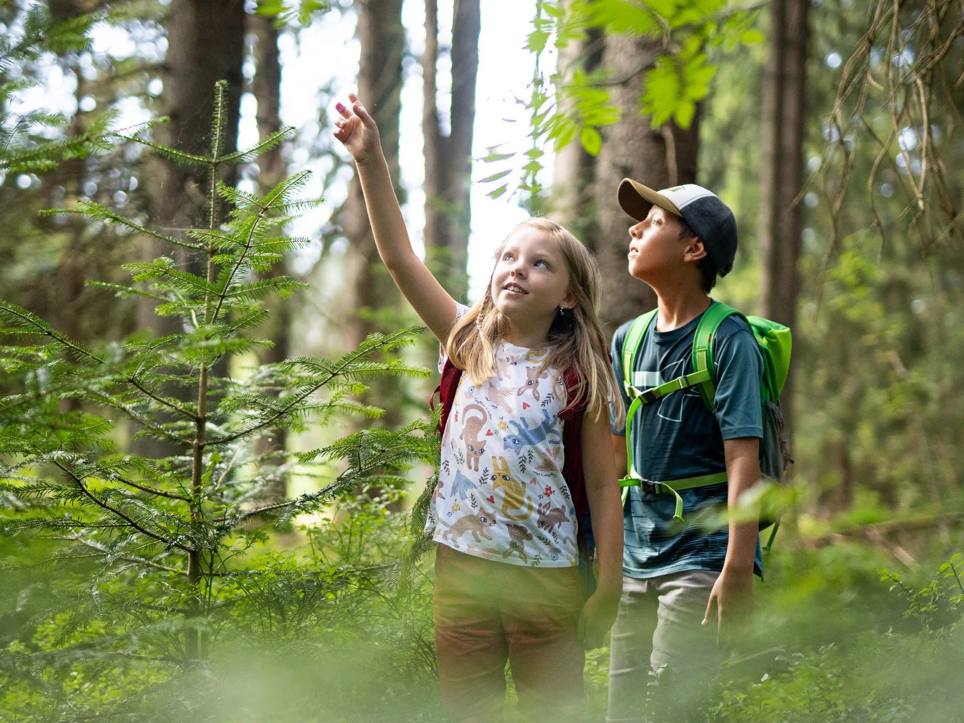 Freizeit & Aktivitäten – Aktivurlaub Schwarzwald im Appartementhaus Regina am Schluchsee