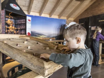 Freizeit & Aktivitäten – Aktivurlaub Schwarzwald im Appartementhaus Regina am Schluchsee