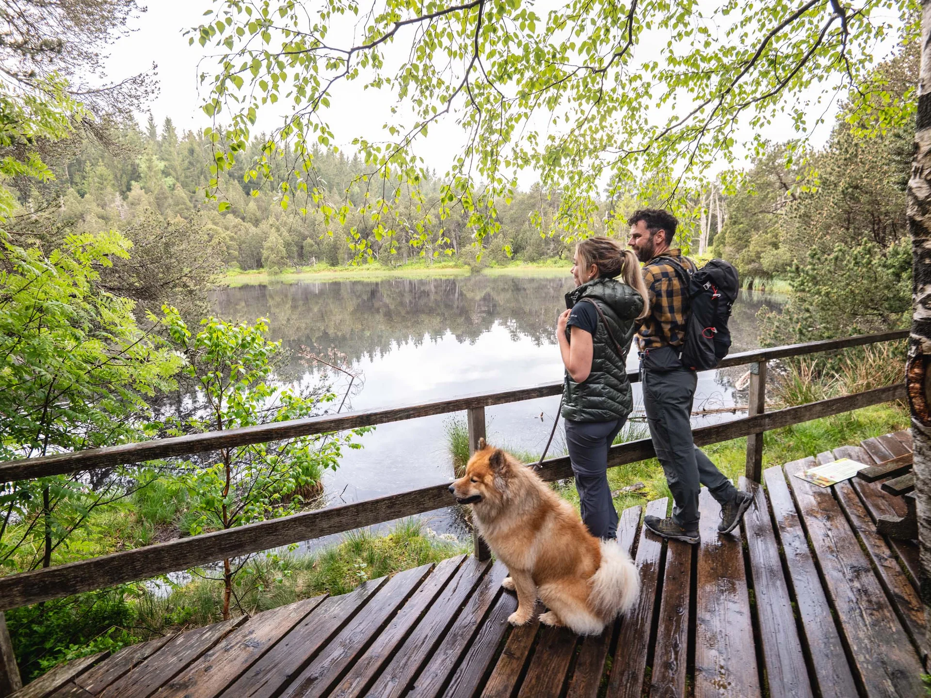 Freizeit & Aktivitäten – Aktivurlaub Schwarzwald im Appartementhaus Regina am Schluchsee