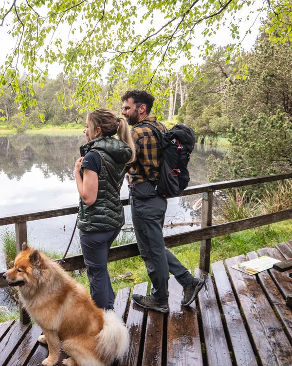 Unterkunft im Hochschwarzwald | Appartementhaus Regina Schluchsee