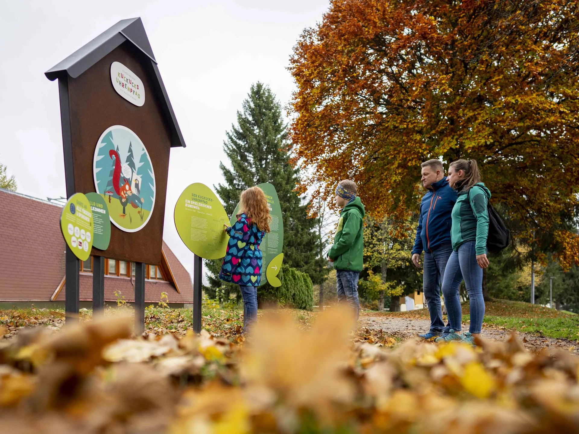 Freizeit & Aktivitäten – Aktivurlaub Schwarzwald im Appartementhaus Regina am Schluchsee