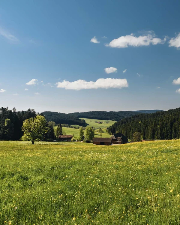 Unterkunft im Hochschwarzwald | Appartementhaus Regina Schluchsee