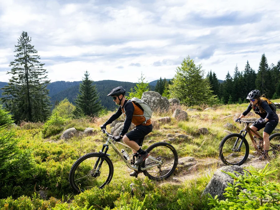Unterkunft im Hochschwarzwald | Appartementhaus Regina Schluchsee