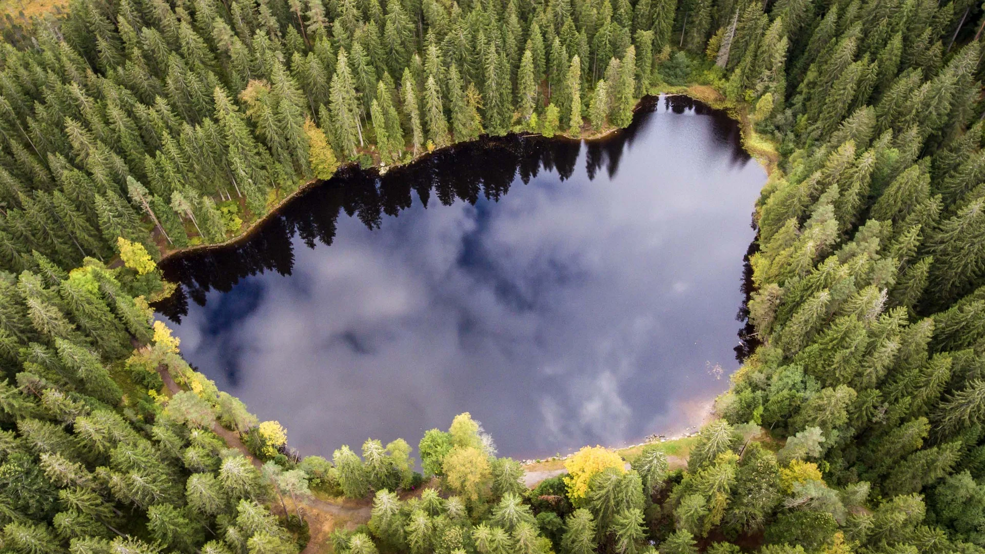 Bildergalerie – Eindrücke & Impressionen | Appartementhaus Regina Schluchsee