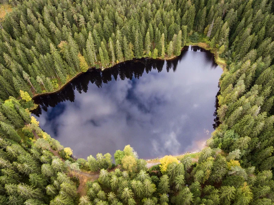 Unterkunft im Hochschwarzwald | Appartementhaus Regina Schluchsee