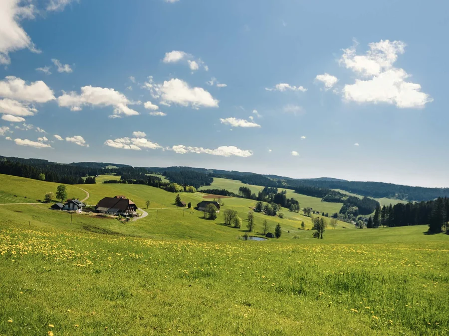 Freizeit & Aktivitäten – Aktivurlaub Schwarzwald im Appartementhaus Regina am Schluchsee