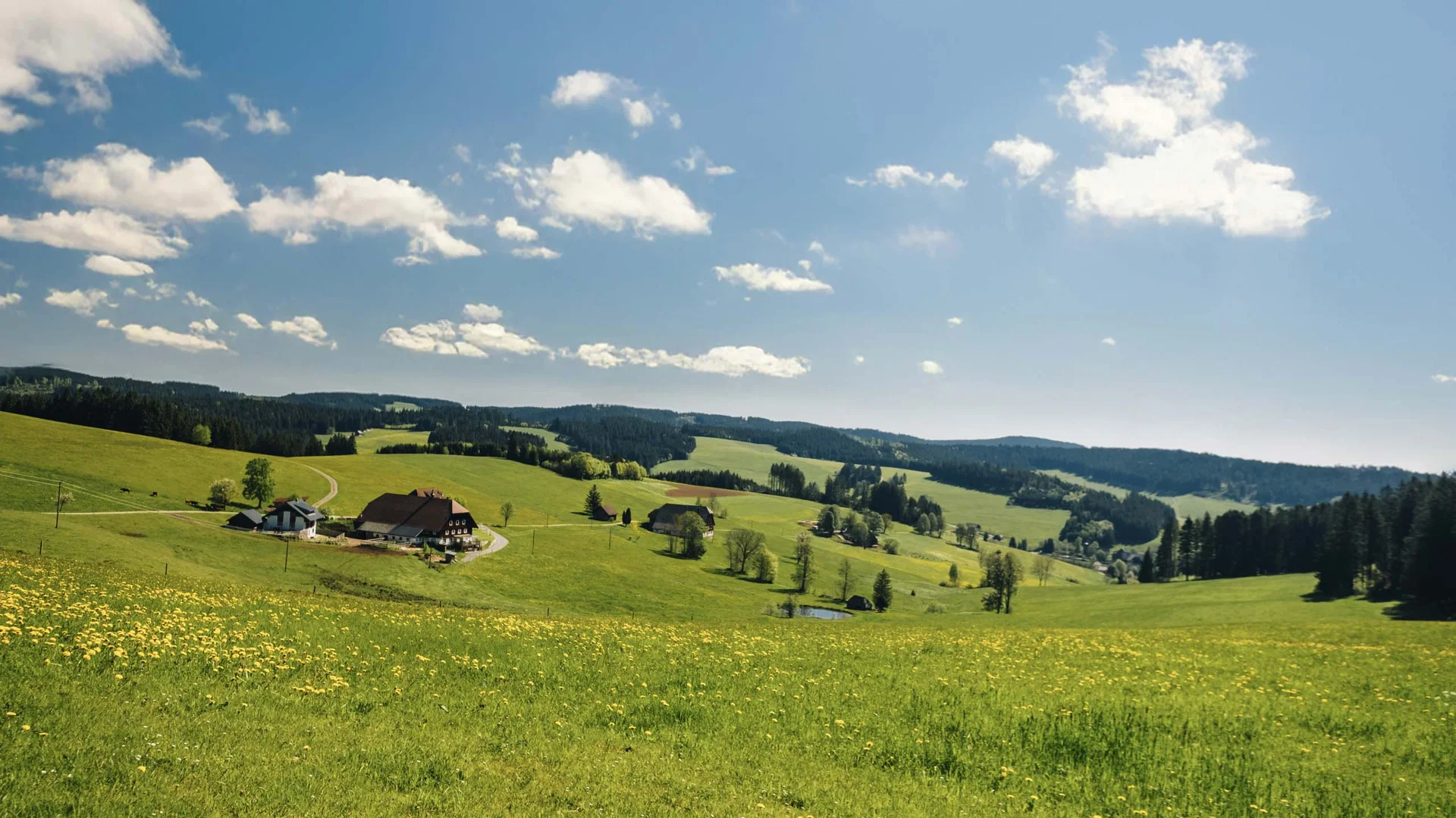 Bildergalerie – Eindrücke & Impressionen | Appartementhaus Regina Schluchsee