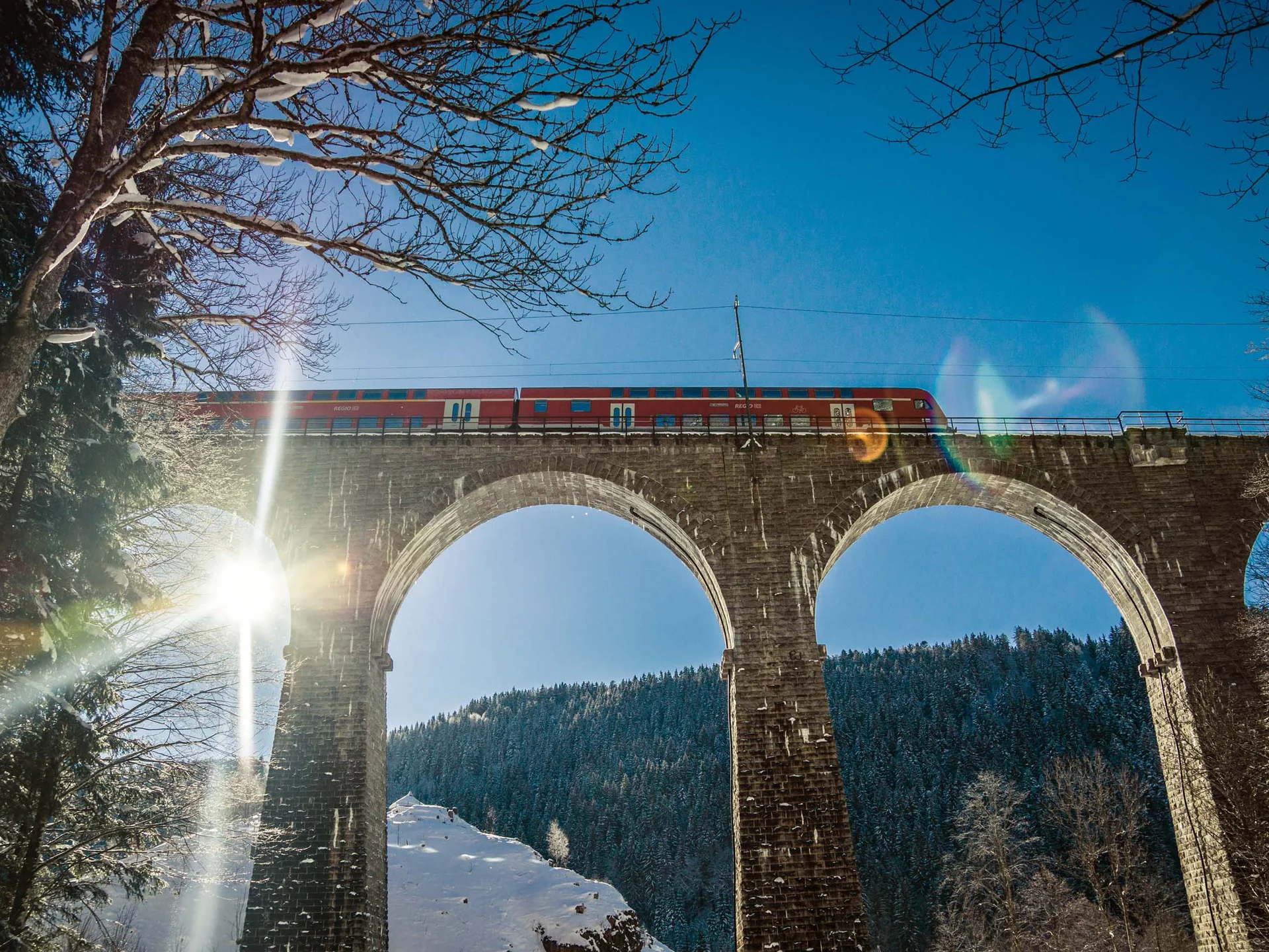 Freizeit & Aktivitäten – Aktivurlaub Schwarzwald im Appartementhaus Regina am Schluchsee